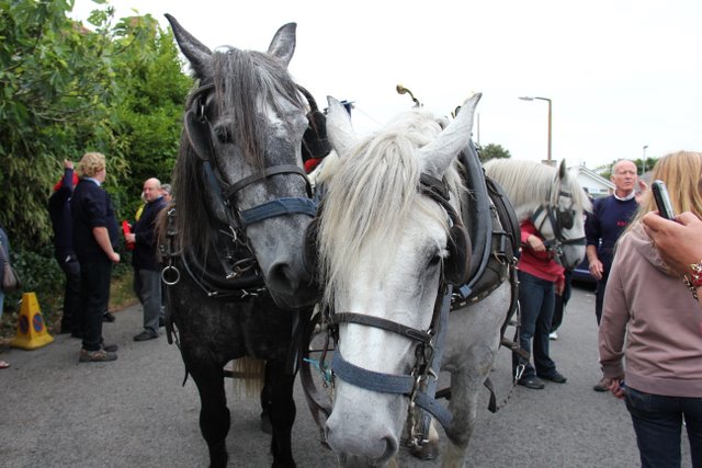 Selsey Lifeboat 150th Anniversary